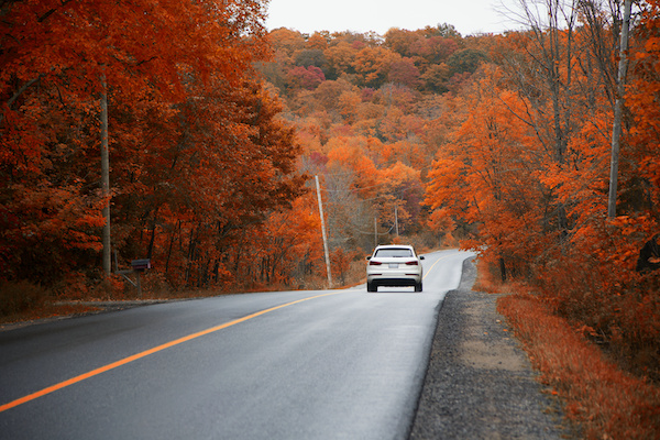 Getting Your Vehicle Ready for Fall